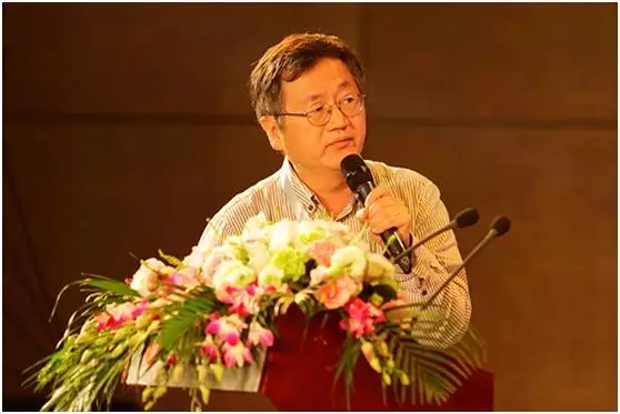 武漢大學(xué)計(jì)算機(jī)學(xué)院院長 胡瑞敏.webp.jpg